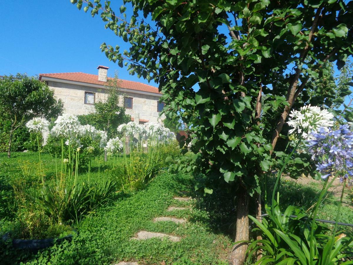 Bernardes House Pensionat Castelo de Paiva Exteriör bild
