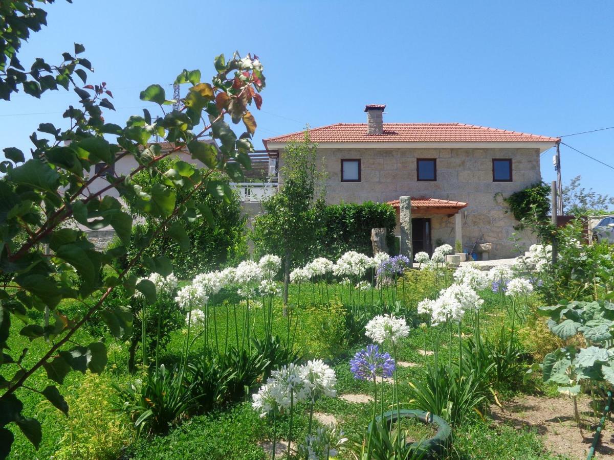 Bernardes House Pensionat Castelo de Paiva Exteriör bild